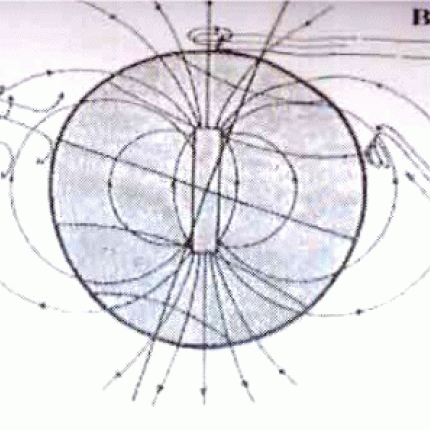Ομιλία στο ΠΑΓΝΗ για την επίδραση των σεισμών στην ψυχική υγεία