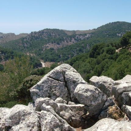 Πρωτοβουλίες για την ανάδειξη του Σελάκανου