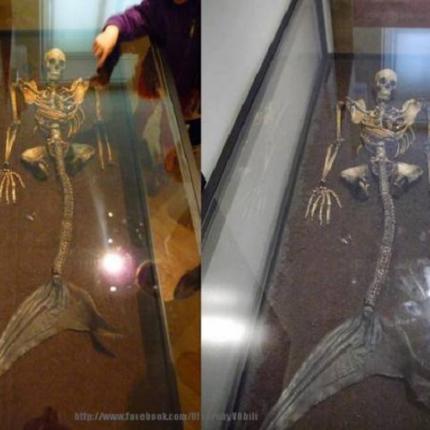 γοργόνα Δανία