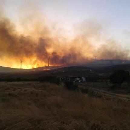 Ανεξέλεγκτη η φωτιά στο Χανδρά Σητείας - Συνελήφθη 25χρονος που την προκάλεσε από λάθος του