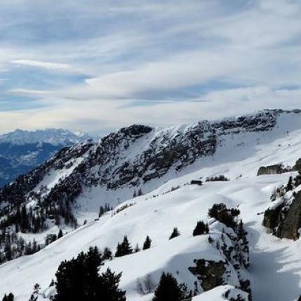snow_alps-590-x-350.jpg