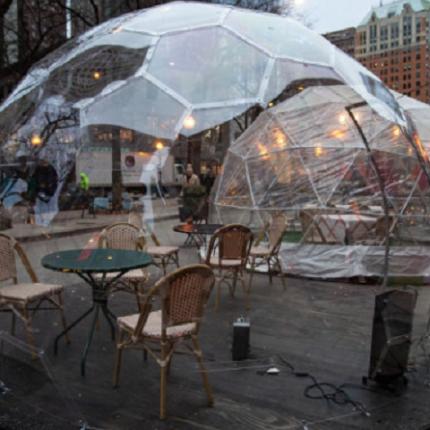 social bubble