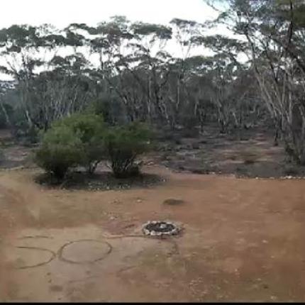 sosaustralia2.jpg