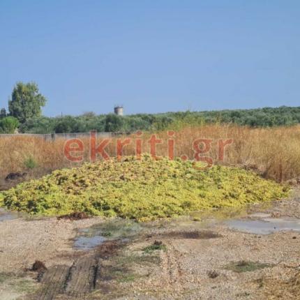 η ποσότητα που πετάχτηκε καθώς δεν υπάρχει διαθέσιμος χώρος