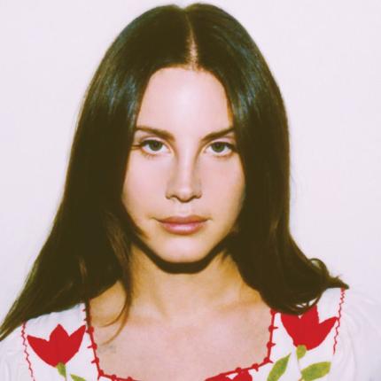 stalker-arrested-for-attempting-to-kidnap-lana-del-rey.jpg