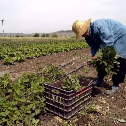 240 εκατομμύρια ευρώ για τη στήριξη των αγροτών 