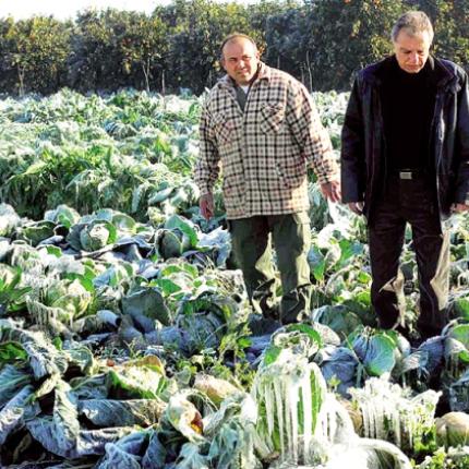 ΕΛΓΑ: Νέος τιμοκατάλογος για την εκτίμηση των ζημιών