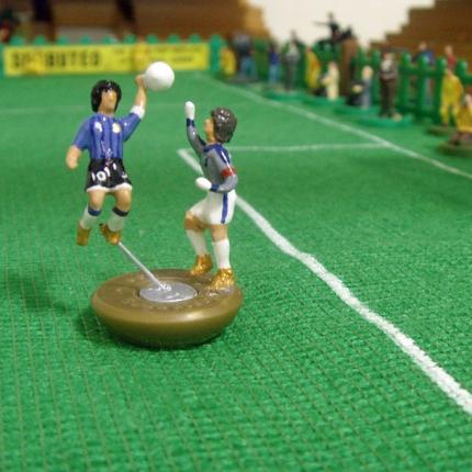 subbuteo