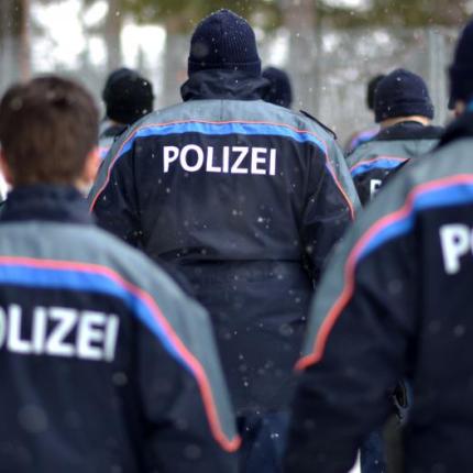 αστυνομια ελβετια