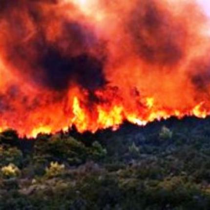 Τρεις άντρες ομολόγησαν πρόσφατους εμπρησμούς στα Χανιά