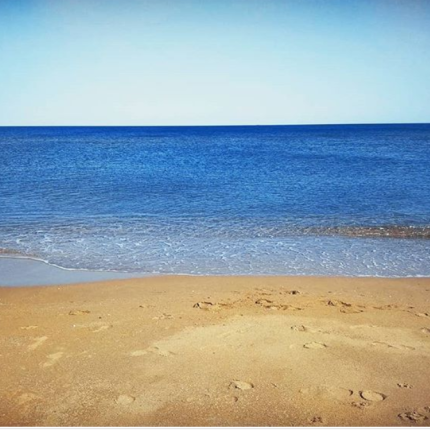thalassa.png