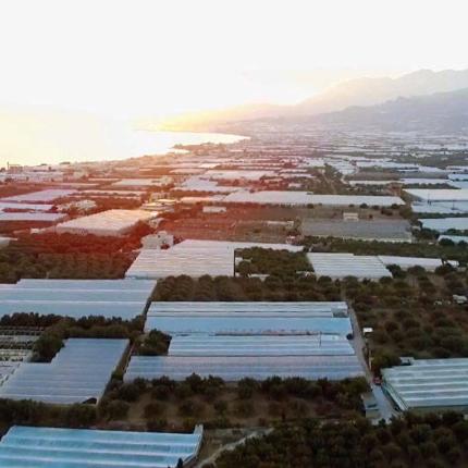 Θερμοκήπια - Ιεράπετρα