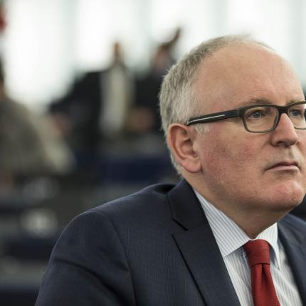 timmermans.jpg