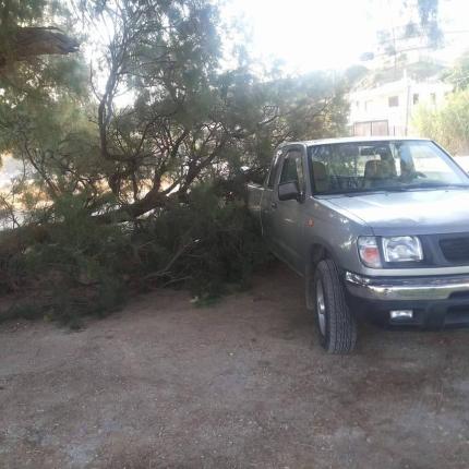 τροχαίο δέντρο χανιά