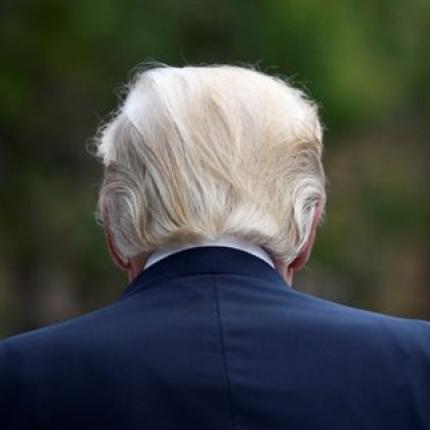 trump5.jpg