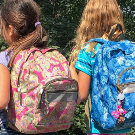 σχολική τσάντα