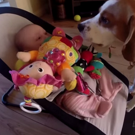 Τι κάνει ένας σκύλος για να σταματήσει το μωρό να κλαίει (βίντεο)