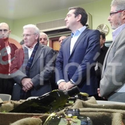 τσιπρας Λασιθι