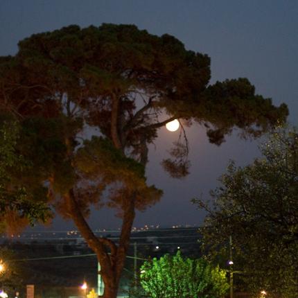 πανσέληνος τύλισσος