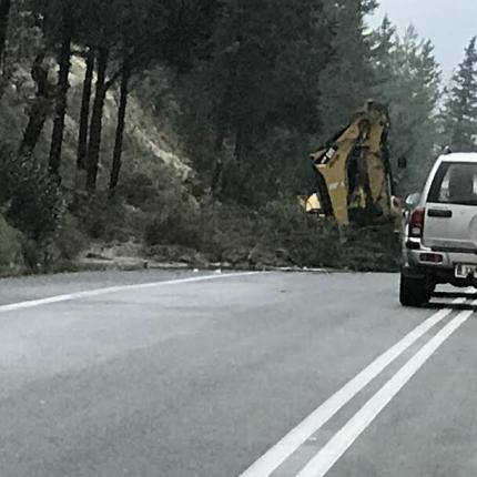 βρύσες, κλαδιά