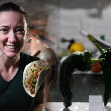 ΠΙΠΕΡΙΕΣ ΣΤΟ ΔΙΑΣΤΗΜΑ