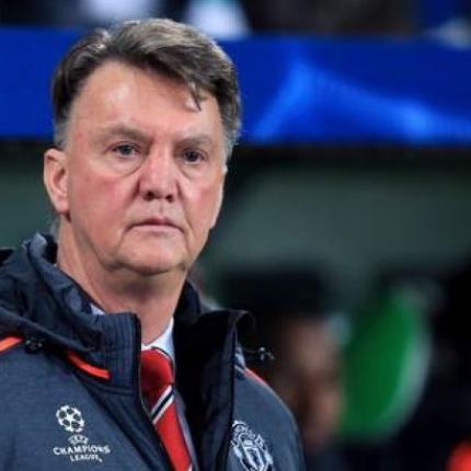 vangaal231.jpg
