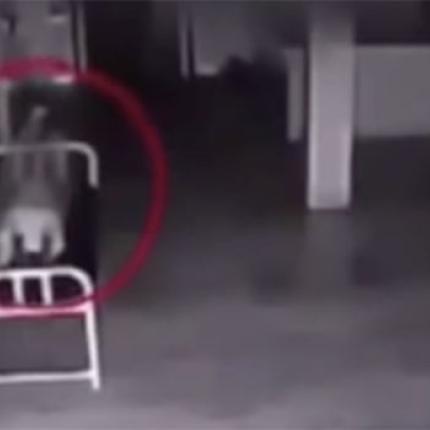 video_paraksena_perierga_creepy_metafisika.jpg
