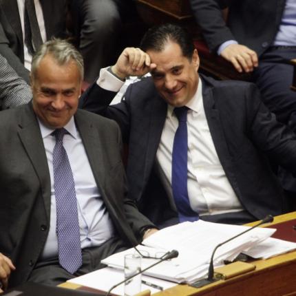 Βορίδης Γεωργιαδης