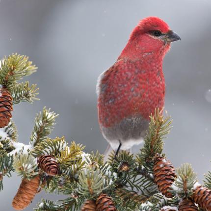 Οι αστρολογικές προβλέψεις της ημέρας!.jpg