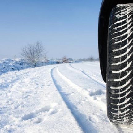 χιονολάστιχα