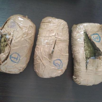 κανναβη χασις.jpg