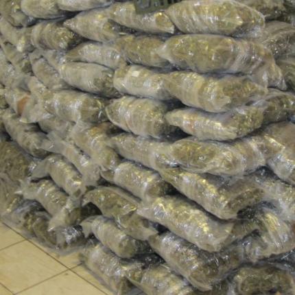 26 στο σκαμνί για την πολύκροτη δίκη της "μαφίας" του χασίς στην Ανατολική Κρήτη