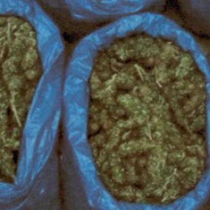 Αλβανία: Έκρυβε 2,3 τόνους κάνναβης σε φορτηγό