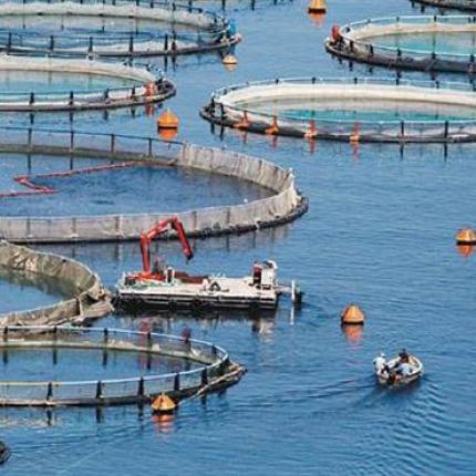 Σημαντική αύξηση κονδυλίων για αλιεία και υδατοκαλλιέργειες