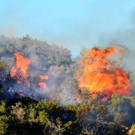 zakinthos-fotia.jpg