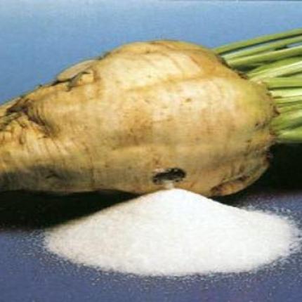 Ζαχαρότευτλα... ως υποκατάστατο του αίματος