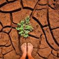 Πάνω από 250.000 θανάτους θα επιφέρει η κλιματική αλλαγή από το 2030