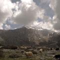 1200px-20090412_oroseira_dikth_apo_oropedio_limnakarou.jpg