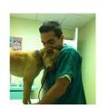 Ο κτηνίατρος Κωστής Τερεζάκης και ο σκύλος που του δείχνει την ευγνωμοσύνη του