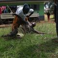 Ο εφιάλτης του έμπολα - Συγκλονιστικές φωτογραφίες από την Λιβερία