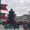 Αστυνομικοί φυλάνε επί 24ώρου βάσεως... χριστουγεννιάτικο δέντρο.jpg
