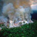 Λιγότερο το οξυγόνο το 2019: Οι φωτιές στον Αμαζόνιο αυξήθηκαν κατά 30%.jpg