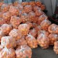 100 τσάντες φρέσκα πορτοκάλια
