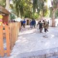 rapid test πλατεία