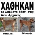 χαθηκαν σκυλοι