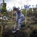 έξι εκατομμύρια δέντρα θα φυτέψει ένα ίδρυμα στην μνήμη των νεκρών από την πανδημία 