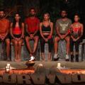 survivor