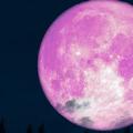 ροζ φεγγάρι
