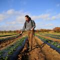 Αυξήθηκαν υα προγράμματα κατάρτισης και καινοτομίες για τους αγρότες της ΕΕ