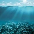 Ξινό το μέλλον των ωκεανών προειδοποιεί ο ΟΗΕ